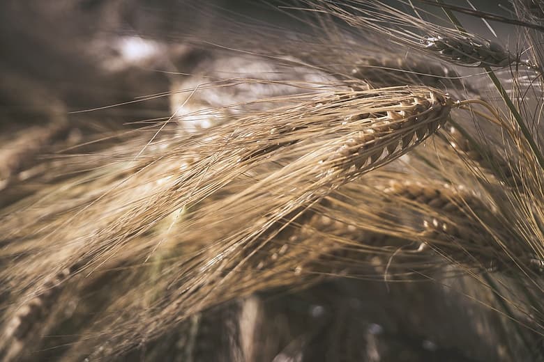 Produits alimentaires
